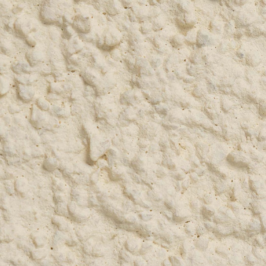 Ecorend Ecorend SR15 Silicone Thin Coat Render - 25kg  African Ivory BM007189 Rendering Products