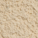 Ecorend Ecorend SR15 Silicone Thin Coat Render - 25kg  Sandstone BM009058 Rendering Products
