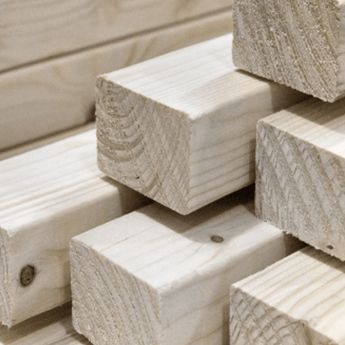 Premium C16 CLS Stud Timber | 2400mm x 89mm x 38mm finished (4x2 ...