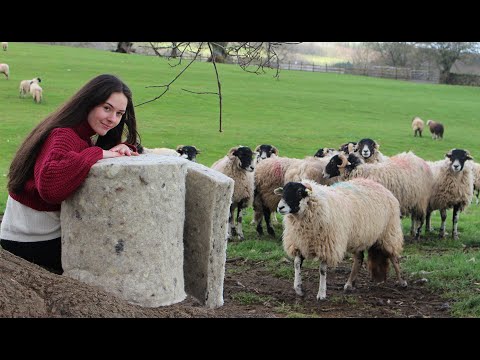 100mm Thermafleece CosyWool 570mm Roll (2 roll pack)